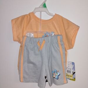 Orange and Gray Kids  Bluey Outfit with Star Design NWT